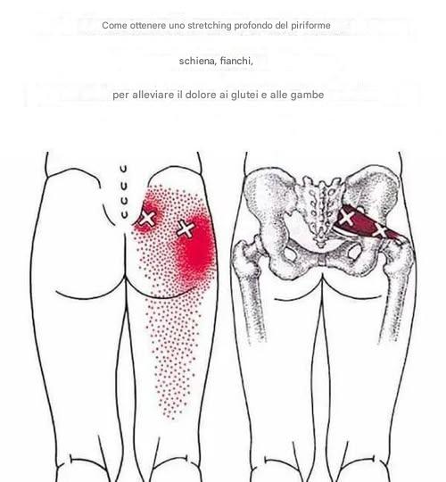 Come allungare in profondità il muscolo piriforme e alleviare il dolore a schiena, fianchi, glutei e gambe
