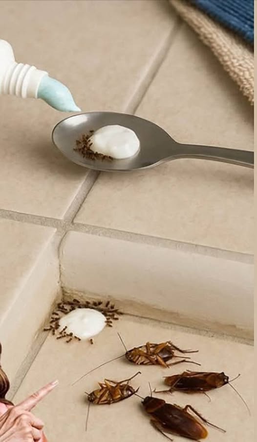 Mettilo in casa tua per 1 ora e non vedrai mai più mosche, zanzare o scarafaggi