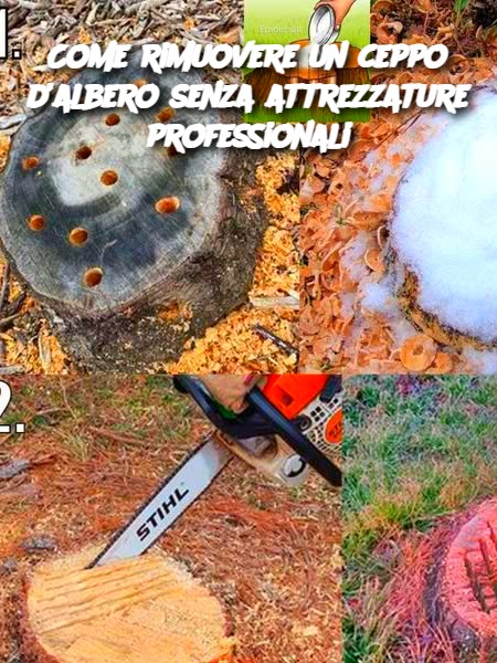 Come rimuovere un ceppo d’albero senza attrezzature professionali