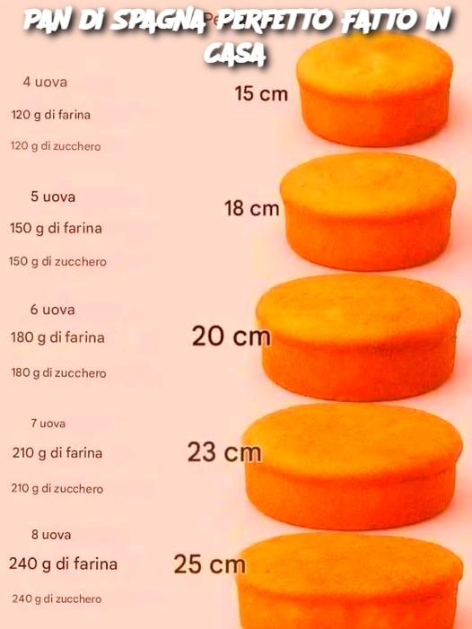 Pan di Spagna Perfetto Fatto in Casa
