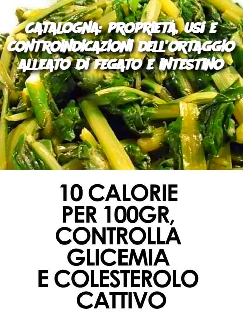 Catalogna: proprietà, usi e controindicazioni dell’ortaggio alleato di fegato e intestino