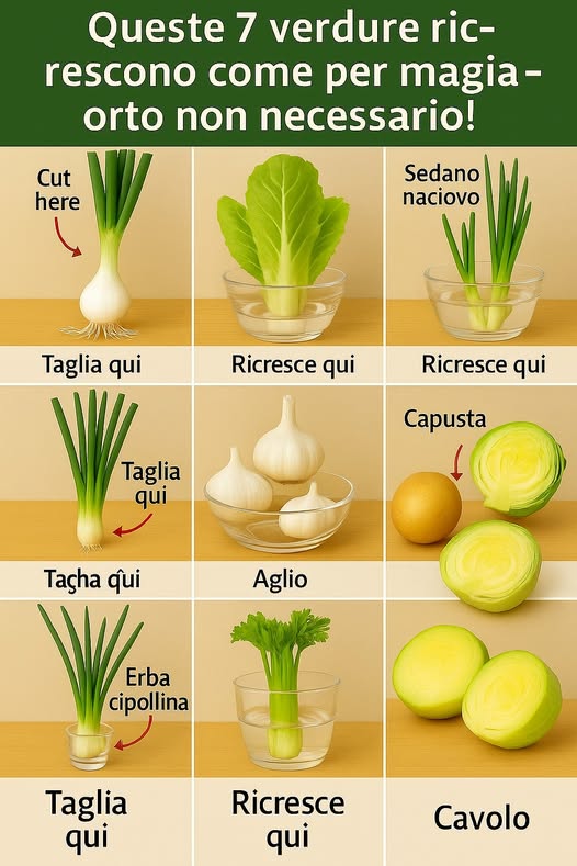 7 Ortaggi che Puoi Far Ricrescere dai Resti in Cucina – Senza Giardino!