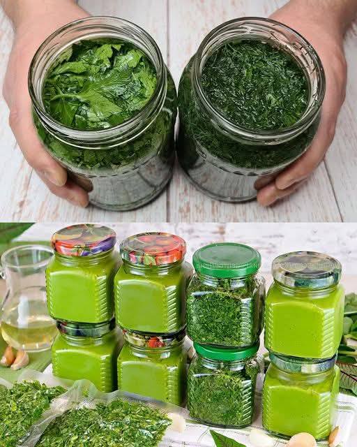 Come Conservare le Erbe Aromatiche Fresche per l’Inverno: Guida Completa