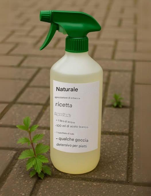 Spray diserbante fatto in casa: una soluzione semplice e naturale per proteggere il tuo giardino