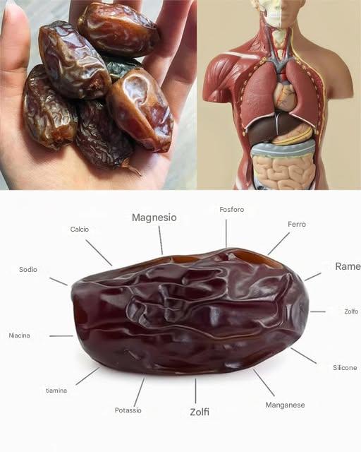 Gli incredibili benefici dei datteri: un superfood ricco di nutrienti