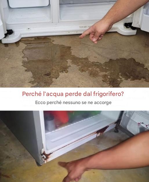 Perché c'è una perdita d'acqua dal frigorifero? Ecco perché nessuno se ne accorge.