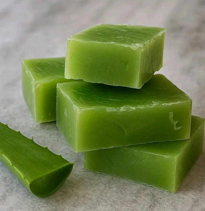 Sapone all Aloe Vera Fatto in Casa