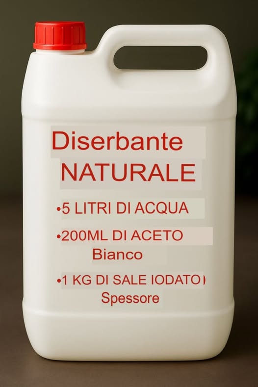 Come Eliminare le Erbacce in Modo Naturale e Economico 🌱