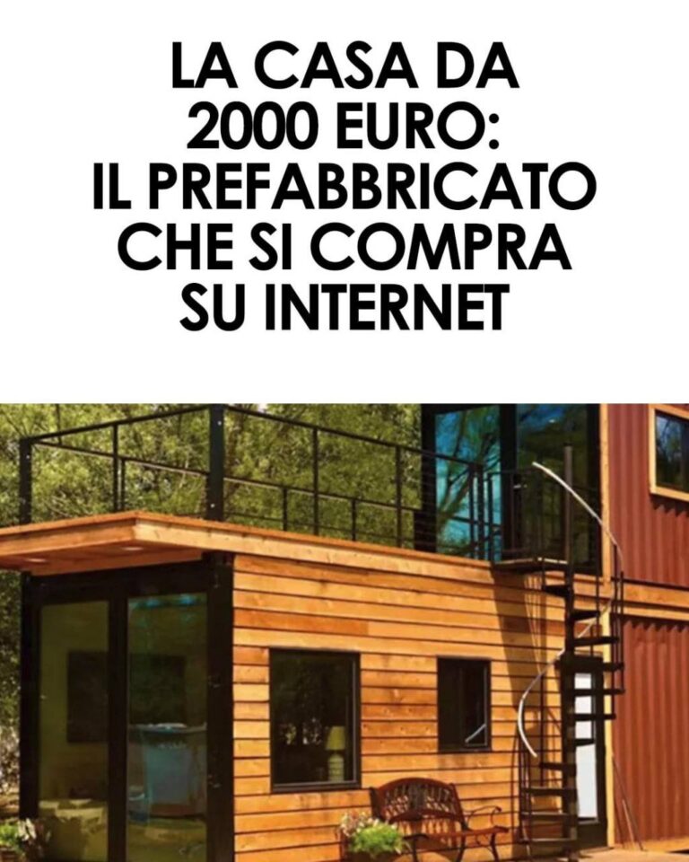 Cosa sono le case prefabbricate da 2.000 euro?
