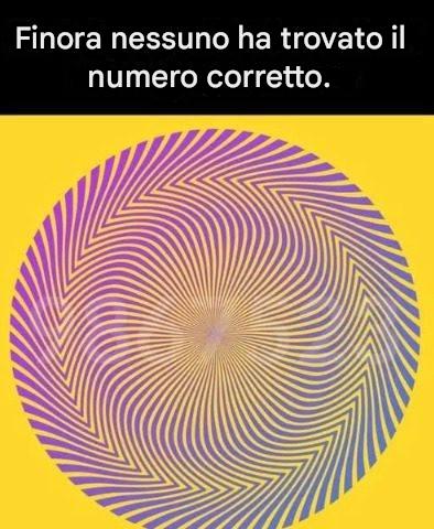 Riesci a individuare il numero nascosto in questa illusione ottica?