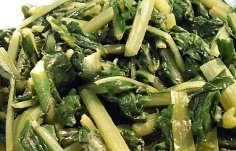 Catalogna: le proprietà, gli usi e le controindicazioni dell’ortaggio alleato del fegato e dell’intestino