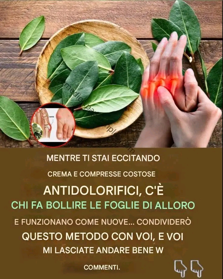 Foglie di Alloro: Il Rimedi Naturale Rivitalizzante per Dolori Articolari e Cattiva Circolazione