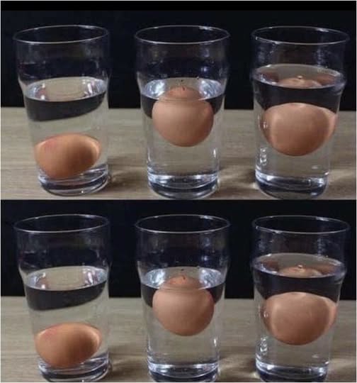 5 modi per capire se un uovo è fresco o marcio