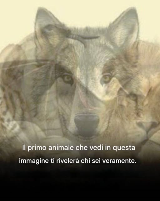 Il primo animale che vedi in questa immagine ti dirà chi sei.