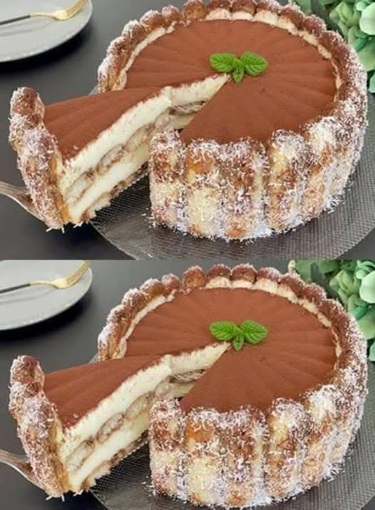 Torta Charlotte al Tiramisù