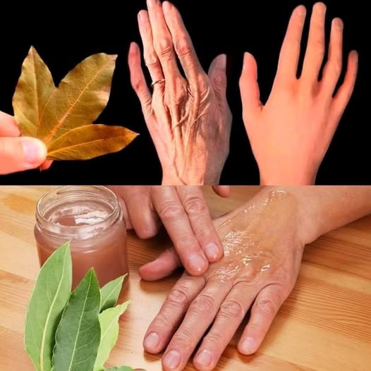 Foglia di alloro: un milione di volte più forte del botox o del collagene? Leviga le rughe e le linee sottili in modo naturale