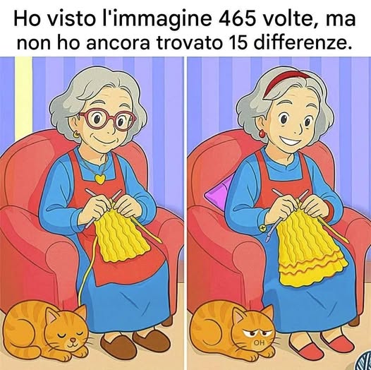 Trova le 15 differenze