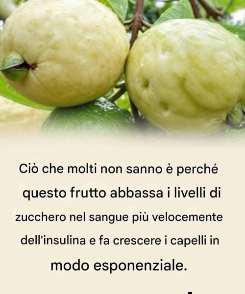 Scopri il Potere della Guava