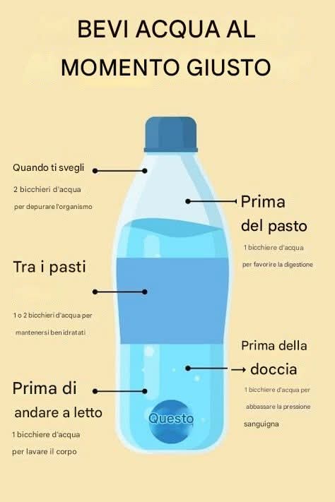 Quando dovresti bere acqua durante il giorno?