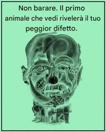 Non barare, eh! il primo animale…