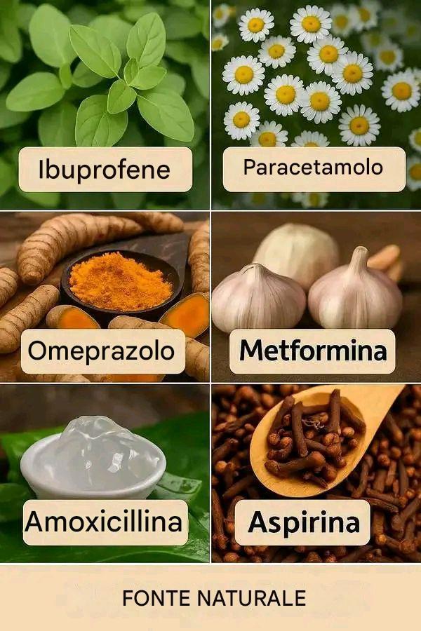Esplorando il Potenziale delle Piante e dei Rimedi Naturali