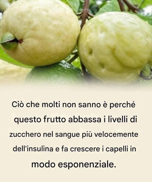 Scopri il Potere della Guava