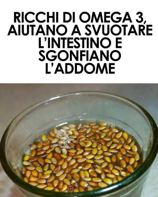 Proprietà dei semi di lino il cibo funzionale per eccellenza