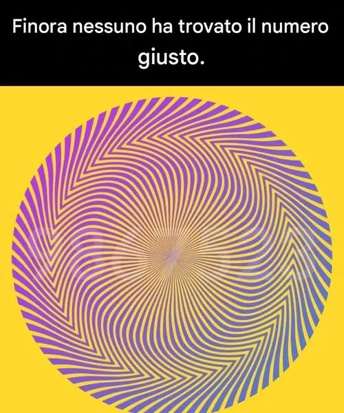 Riesci a individuare il numero nascosto in questa illusione ottica?