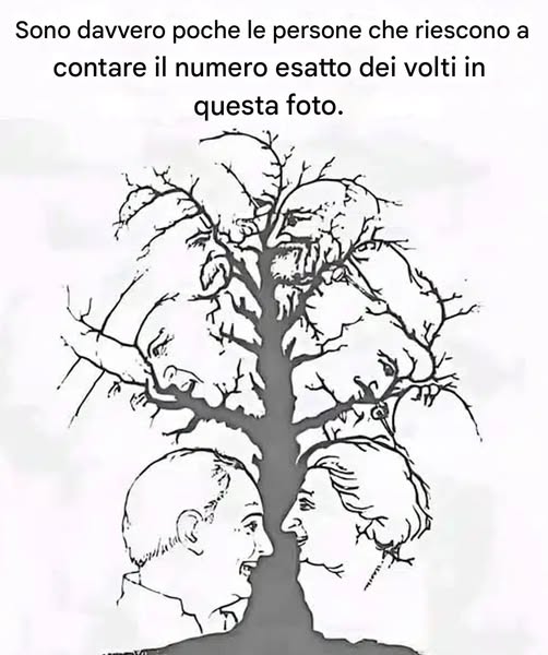 Se riesci a identificare tutti i volti nascosti in questa illusione in meno di dieci secondi, hai una vista eccezionale.