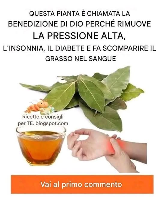 Tra le altre cose lalloro è molto utile per combattere