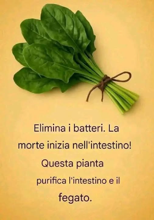 Alimenti che aiutano a depurare il corpo