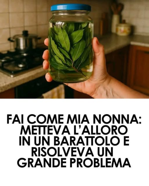 Le straordinarie proprietà dell alloro