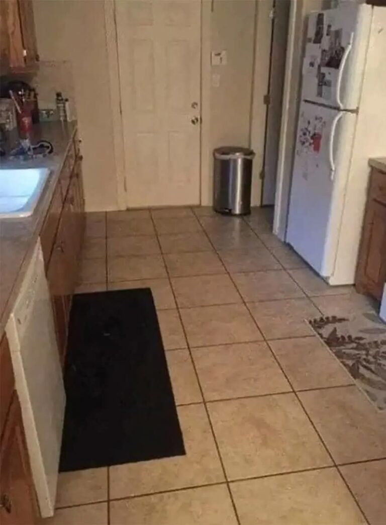 Guarda attentamente: c'è un cane nascosto in questa cucina