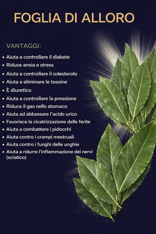 Una singola foglia di alloro bollita può trasformare la tua salute