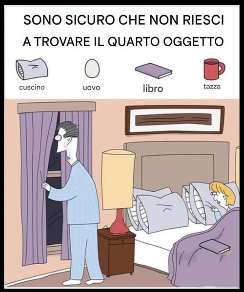 Riesci ad individuare il libro, l’uovo, la tazza e il cuscino?