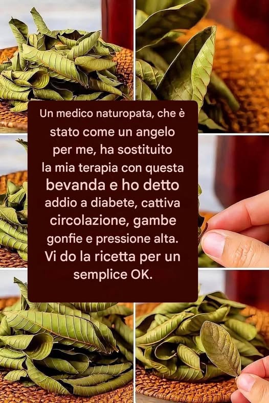 Alloro e cannella: una combinazione potente per la tua salute