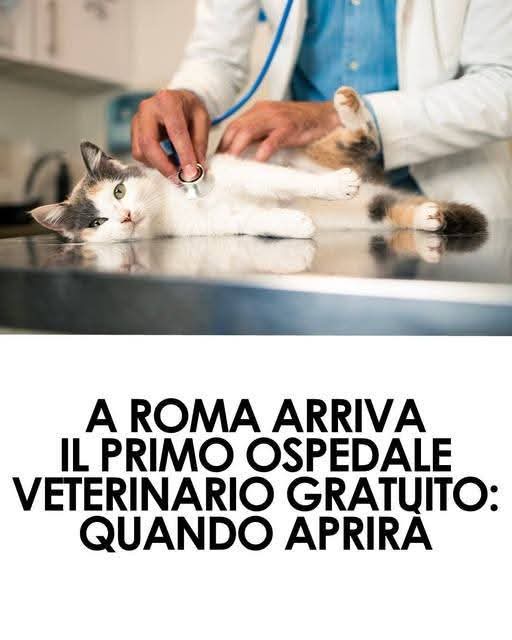 A Roma è aperto e gratuito il primo ospedale veterinario, una struttura innovativa pensata per garantire cure veterinarie accessibili a tutti. Ecco quando aprirà