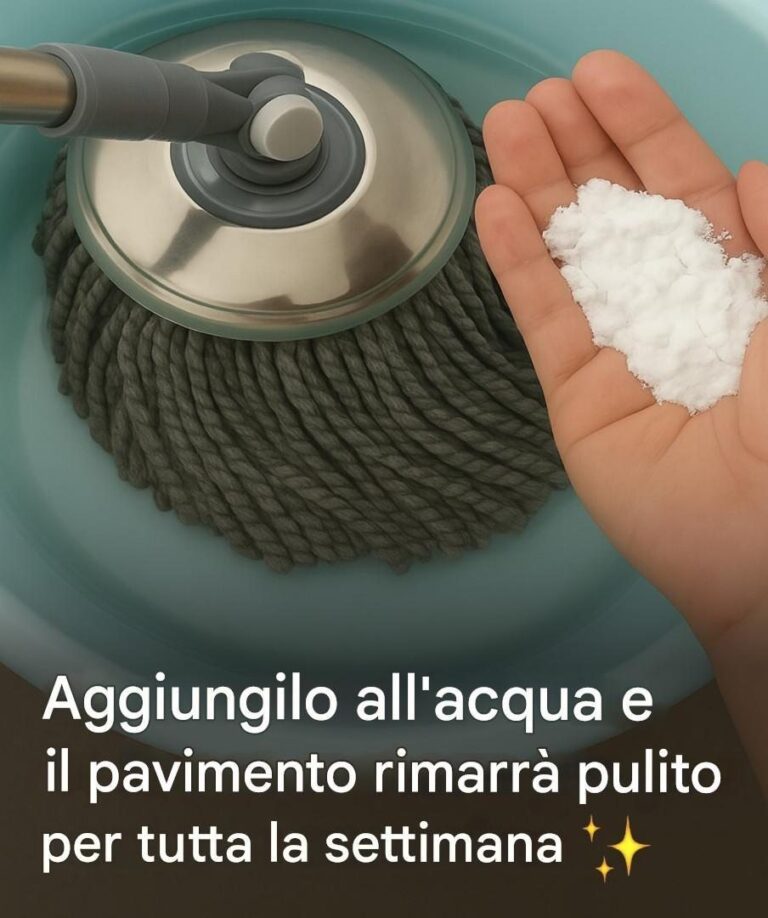 Hai la sensazione che il tuo pavimento si sporchi più velocemente di quanto tu lo pulisca? Tra il passaggio di persone, i bambini, gli animali domestici o semplicemente la polvere di tutti i giorni, mantenere i pavimenti puliti può rapidamente diventare un problema. E se ti dicessimo che esiste un trucco semplice, economico e 100% fatto in casa che può mantenere i tuoi pavimenti puliti fino a una settimana? Senza prodotti chimici aggressivi o spese inutili? Ti sveleremo tutto. Una ricetta fatta in casa per pavimenti puliti, lucidi e piacevolmente profumati Questa soluzione fatta in casa sta spopolando sui social media , e per una buona ragione: unisce efficacia, freschezza e convenienza. Questa miscela naturale, realizzata con ingredienti di uso quotidiano, pulisce a fondo lasciando un sottile strato protettivo contro la polvere . E la parte migliore? Lascia la casa piacevolmente profumata per diversi giorni. Ecco cosa ti serve per preparare 2 litri: 1 cucchiaio di sale grosso 2 cucchiai di detersivo per piatti delicato 120 ml di aceto bianco o succo di limone 120 ml di alcol per uso domestico 2 cucchiai di bicarbonato di sodio 1 tappo di ammorbidente E naturalmente 2 litri di acqua calda Semplici passaggi per un’efficienza ottimale continua nella pagina successiva