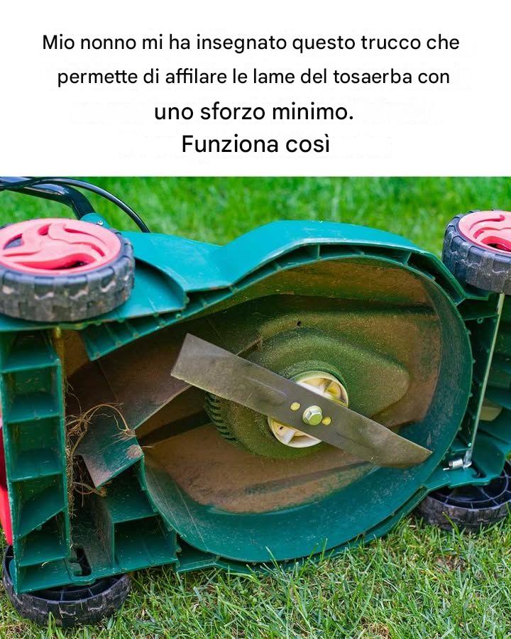 ## Come affilare facilmente le lame del tosaerba