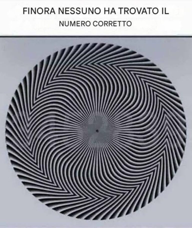 Un affascinante enigma visivo sta confondendo il web