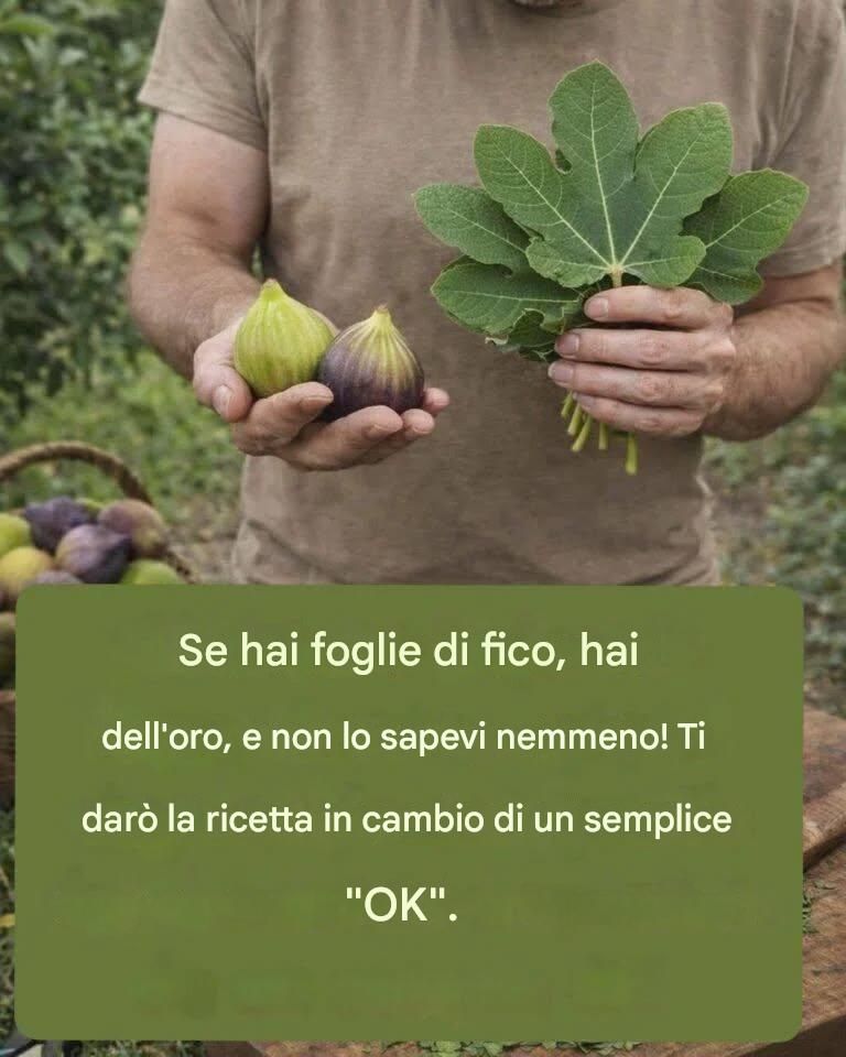 La foglia che è una benedizione di Dio: l’alloro.