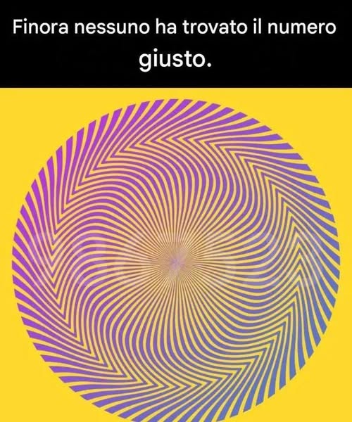 Riesci a individuare il numero nascosto in questa illusione ottica?