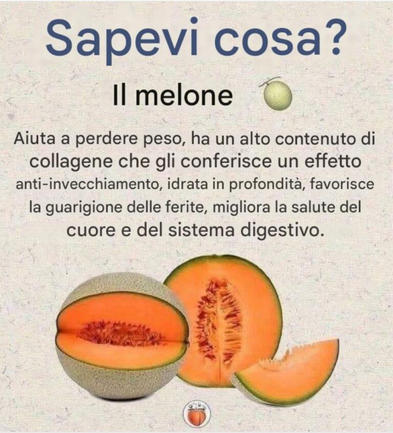 Il melone contiene un'elevata quantità di acqua, vitamine (A, B, C, E) e minerali (potassio, magnesio).