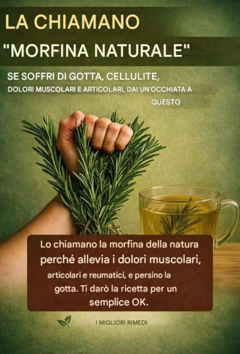 Il potere curativo del rosmarino: la "morfina naturale" che dovresti conoscere