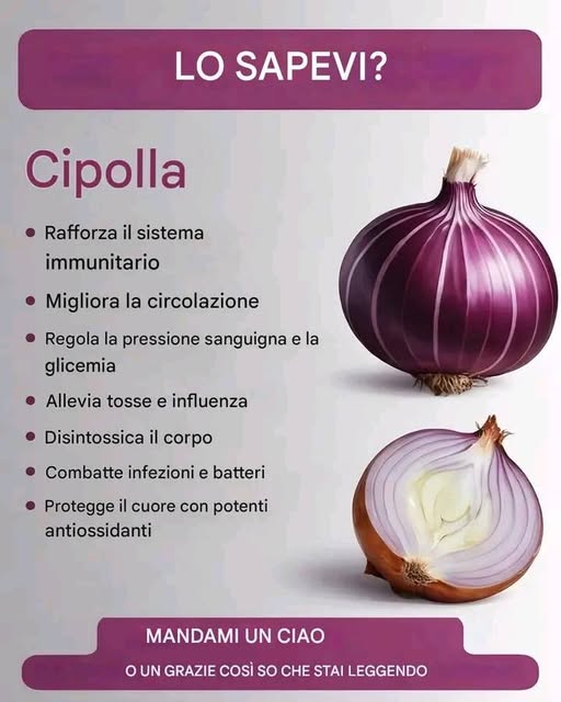 Cipolla rossa: il re delle verdure salutari
