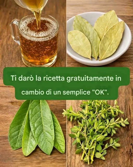 Probabilmente conoscete le foglie di alloro come spezia nei piatti asiatici