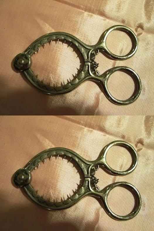 Come usare questo strano strumento nella tua cucina