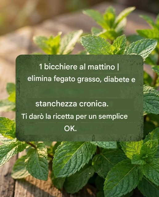 Un solo bicchiere al mattino elimina la steatosi epatica, il diabete e la stanchezza... Leggi di più
