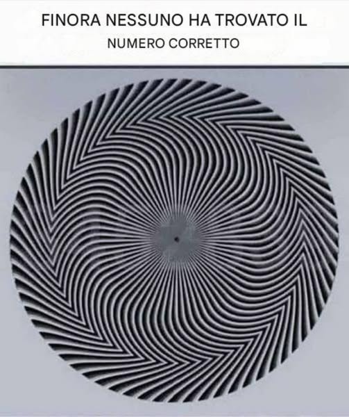 Un affascinante enigma visivo sta confondendo il web