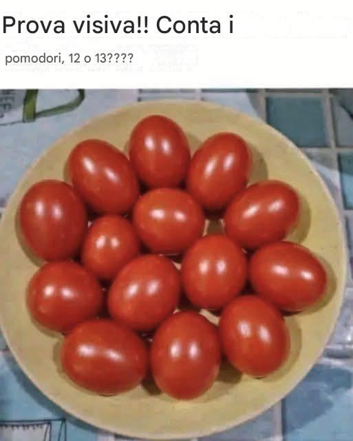 Prova visiva!! Conta i pomodori, 12 o 13???